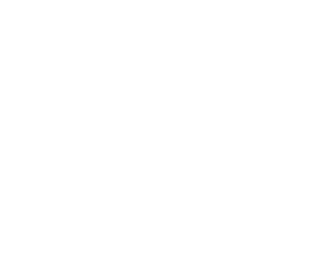The Lyons Group